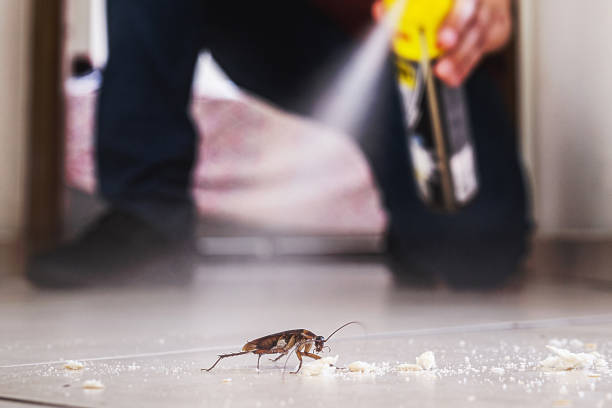 Pest Control for Restaurants in Willows, CA